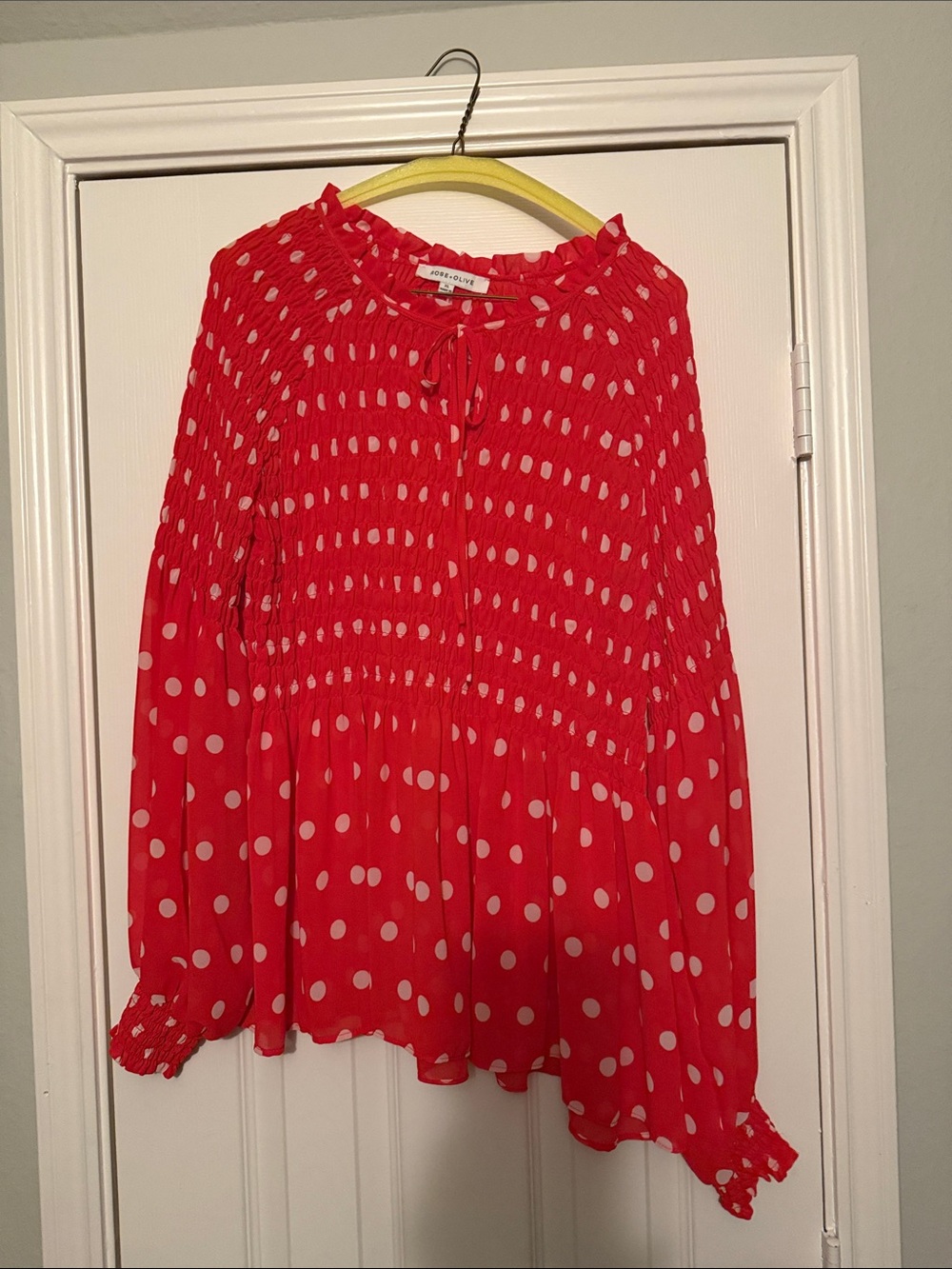 Rose & Olive Red Polka Dot Smocked Long-Sleeve Blouse